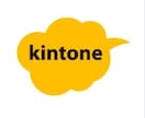 kintone等のご相談に対応します もやもやとした悩みを解決したい方向け イメージ2