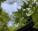 京都旅行のプランを考えます 京都旅行のオリジナルプランを考えます！ イメージ3