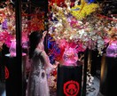 SNS映えする写真撮影をします フォロワー1.2万のインフルエンサーが考案 イメージ1