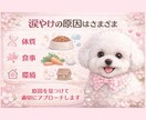 涙やけの原因と対策、丁寧にお伝えします 原因からケア方法まで丁寧にサポート イメージ2