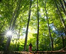 開運⭐️葉道（はどう）の呼吸法⭐️お教えします 疲れ・不調・不安・落ち込みにはまず呼吸を❤️10分でもＯＫ！ イメージ10
