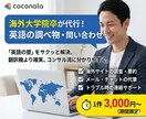 海外大学院卒が英語での問い合わせ等を代行します これについて調べて、ここに問い合わせてといった依頼に答えます イメージ1