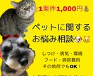 ペットに関するご相談承ります 動物に関する相談等、お悩み事に対しての解決策をお手伝いします イメージ1