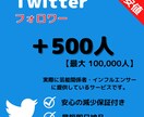 Twitter★フォロワー+500人増加します 【最高品質】保証あり｜最短即日納品｜最大10万人 イメージ1