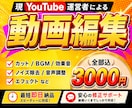 現編集者!YouTube等の動画編集承ります 10分以下なら追加料金なしの3000円！ イメージ1