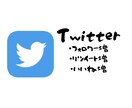 お試し価格Twitterフォロワー200増やします １０月１０日までのお試し価格！200以上増えます！！ イメージ1