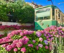 映える神奈川の旅プラン作成します 美しい景色や驚きの体験など映える旅を紹介します イメージ2