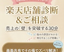楽天のプロが店舗診断＆ご相談にのります 売上停滞の原因を特定！ビデオチャット対面相談で改善策を明確化 イメージ1