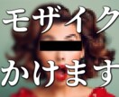 あなたの動画にモザイクをかけます 映ったらダメなもの、隠せます！ イメージ1