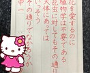卒業、卒園の証書、その他賞状を代筆致します 時間がない方、字が苦手な方、業者より安く済ませたい方必見 イメージ1