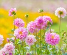 自分から見たら【大きな悩み事】に心から寄り添います 人から見たら大したことなくても悩んでることってありますよね… イメージ10