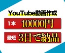 YouTube用の動画作成します バラエティ系からセミナー用の動画まで対応可能！ イメージ1