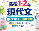 高校1・2年の現代文を基礎から教えます 現代文が苦手な高1・高2を基礎からサポートします イメージ1