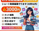 ショート動画（30秒）字幕テロップ編集します 最後まで見られる動画に編集します イメージ1