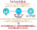 お試し版！！TikTokをゼロからスタートします まずは1本から、TikTok運用の効果を体験してみませんか？ イメージ6