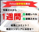 経験0でも7日でPython副業スキル身に付けます PC1台で時間と場所に縛られない稼ぎ方を実現する独学専用教材 イメージ1
