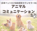 チャットでお答え！ペットちゃんとお話します 48時間以内にご報告｜チャットだから読み返せる イメージ1