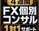 完全限定手法で個別コンサルします 4週間みっちりマンツーマン、実践レベルまで落とし込みます イメージ1