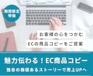 魅力ある商品コピー・キャプション作成をします お客様の心をつかむ独自ストーリーでEC売上UPに貢献！ イメージ1