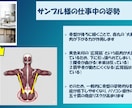現役OTが分析！姿勢＆動作環境フィッティングします スポーツからデスクワークまで、身体の違和感を作業療法士が分析 イメージ6