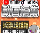 動画編集承ります 視聴維持率を意識した、飽きさせない動画作りを心掛けています！ イメージ1