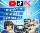SNS向けの動画編集します テロップ・カット・BGMで（見やすい動画）に仕上げます！ イメージ1