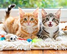 写真が動き出すAI癒やしメモリアル動画を作成ます 諦めないで。AIが叶える、奇跡の動く一枚。 イメージ1