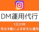 インスタのDM運用代行いたします アルゴリズム熟知で効率的なフォロワー拡大！ イメージ1
