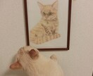 可愛いペット似顔絵描きます 猫ちゃんの思い出の1枚を残しませんか イメージ1