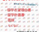 安く留学したい方へ！留学申請書類の添削をします 国からの奨学金をもらい留学した私がアドバイス イメージ1