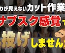 サブスク形式でカット・整音承ります めんどくさい編集作業、お手伝いさせてください！ イメージ2