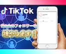 TikTokフォロワー10000人増加させます コスパ最強！ティックトックのフォロワー10000人宣伝！ イメージ1