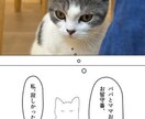 大切なペット写真集をペーパーバックで制作します 一緒に過ごす幸せ　癒しと笑顔の瞬間を写真集で残そう イメージ7