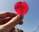 主に"お父さん"からのご相談をお受けしています 「子育ては母親のもの」という圧力を感じていませんか？ イメージ1