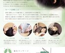 チラシ・ポスター・カタログ・POP・DM作ります ご要望に合わせてデザインを考えます！ イメージ1