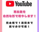 Youtube動画を拡散して再生数を増やします 独自ルートで動画を拡散！収益化まで徹底サポート！ イメージ1