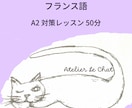 フランス語 50分　A2対策レッスンします 楽しく学んで合格を目指しましょう イメージ1