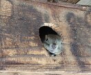自然の風景と、たまに動物が紛れます 自然の癒し、掛け替えのない風景大地の雄大感。出会う動物たち イメージ3