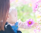 桜ロケ撮影｜5カット5,000円〜｜お撮りします 入園入学にも/全データプランあり/ペットOK/ママカメラマン イメージ7