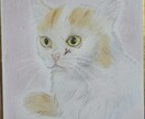 可愛いペットちゃんのイラストを描きます 可愛い猫ちゃんやワンちゃんのアナログ絵描きを描きます イメージ4