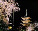 あなたの代わりに京都旅行の写真を撮ります 写真で京都を旅行しませんか？？ イメージ1