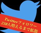 Twitterフォロワー３００人以上まで拡散します 【１０日間保証】１０００人は３０００円！！ イメージ4