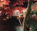 どんな話題でも◎あなたの話し相手になります 少し誰かと話をしたい。とにかく愚痴りたい。何でも大丈夫です！ イメージ1