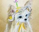 原画配送付き☆犬の絵を描きます あたたかみのあるクレパスで大切なわんちゃんの絵を描きます。 イメージ3