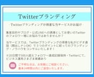 Twitterアカウント強化のためのコンサルします Twitterブランディングが得意な私がビデオ通話で対応 イメージ3