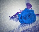 パートナーの「浮気・不倫・裏切り」の今後を占います ✿占術複合占い✿お辛い気持ちに寄り添いアドバイスいたします。 イメージ3