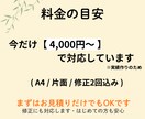 高齢者に見やすく伝わるチラシ・資料作成をします 文字が大きく、やさしく伝わるデザインです イメージ7