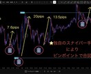 アラートにお任せ！レンジ用インジケーター提供します 5名の方のみオープン割引！50,000円にて販売予定のお品物 イメージ6