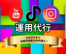 SNS運用代行・投稿設計お任せします Instagram/TikTok対応・戦略〜投稿制作まで イメージ1