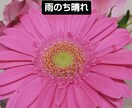 あなたの気持ちに寄り添います あなたのお悩み、お聞かせください イメージ1